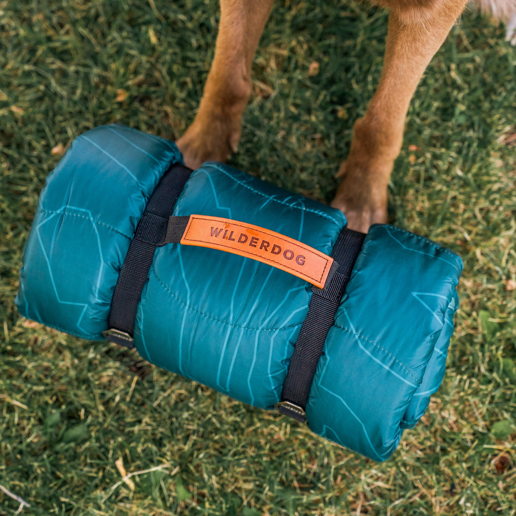 Picnic Blanket