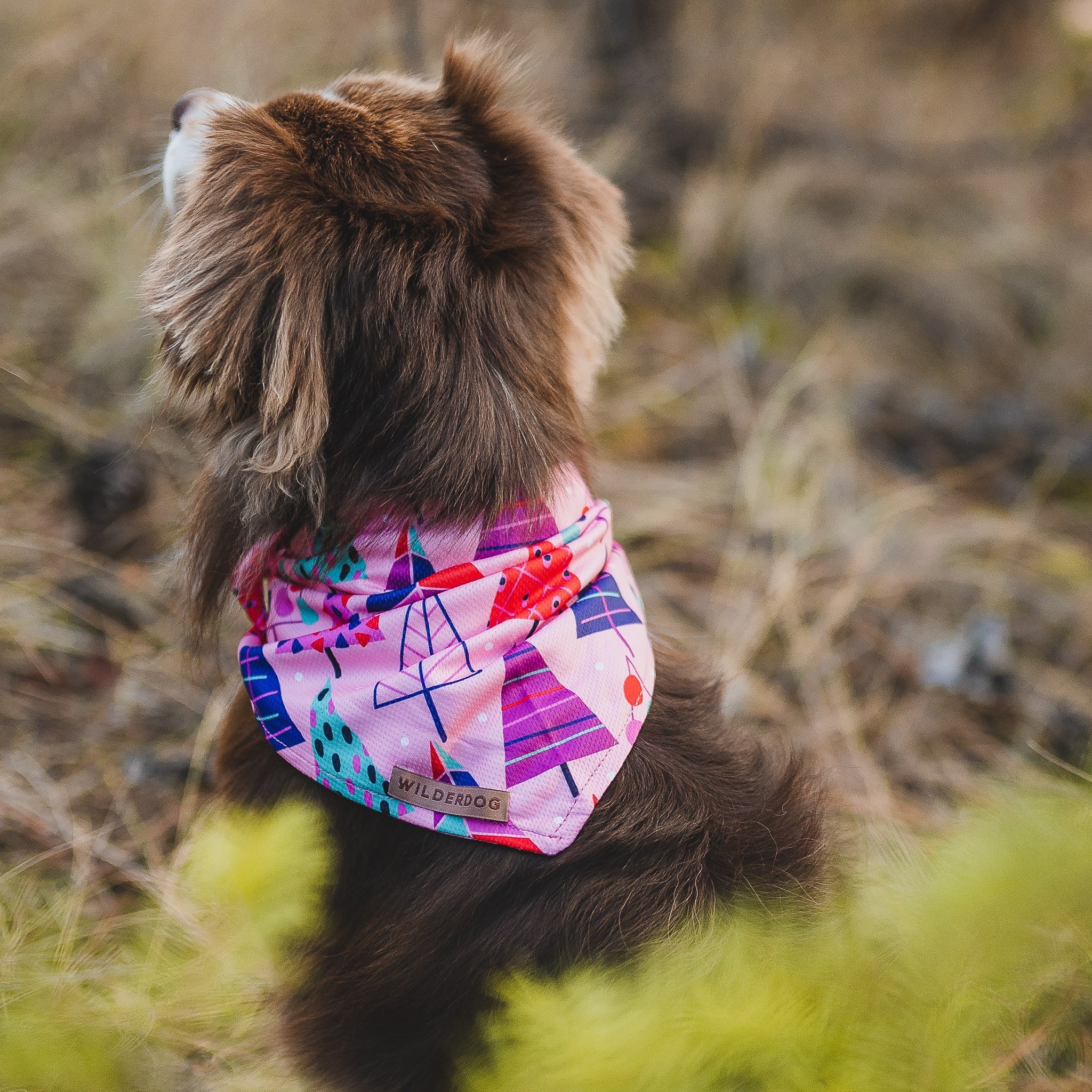Sugarplum Bandana