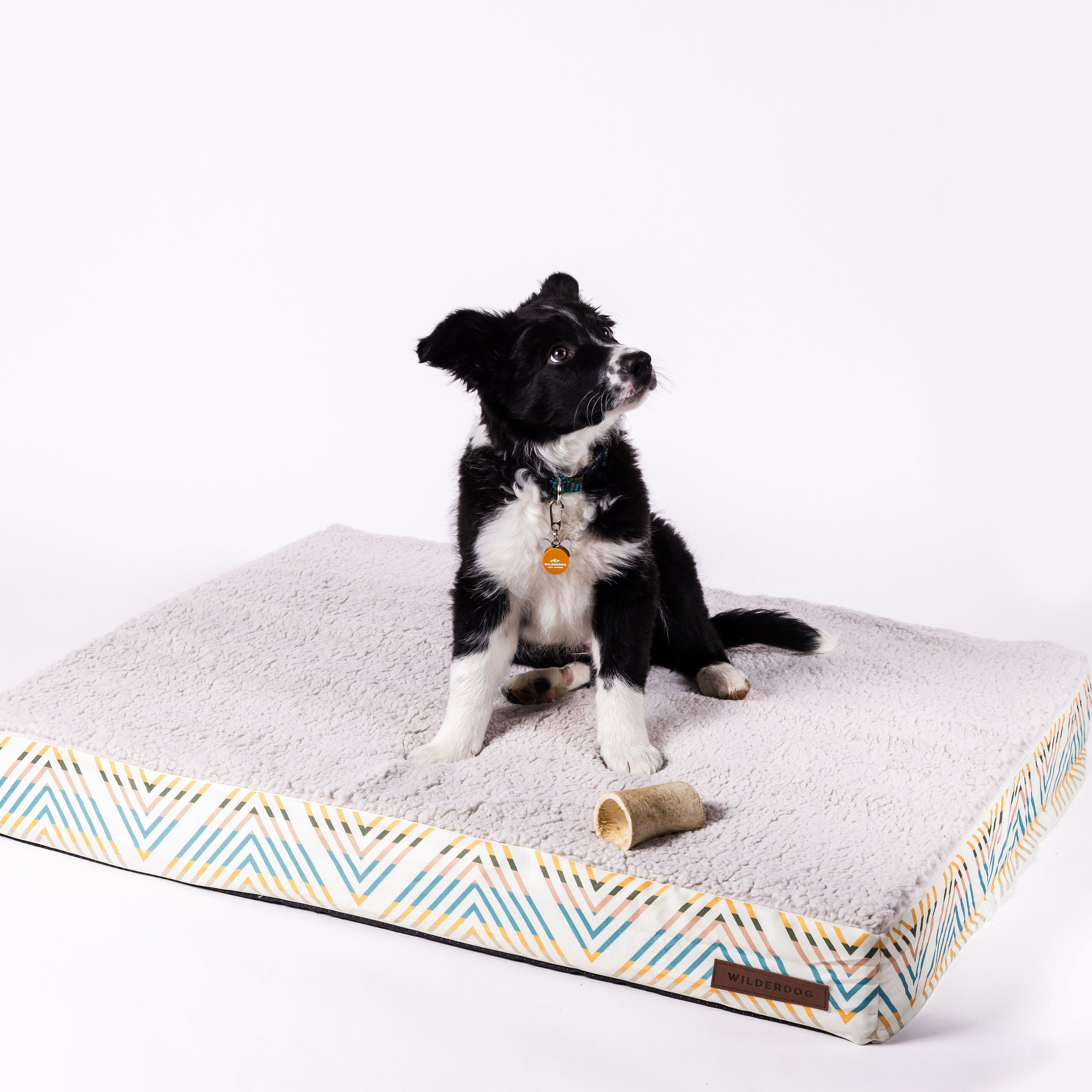 Memory Foam Dog Bed
